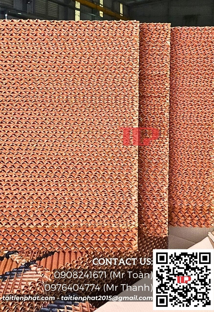 Công ty TNHH Tài Tiến Phát
